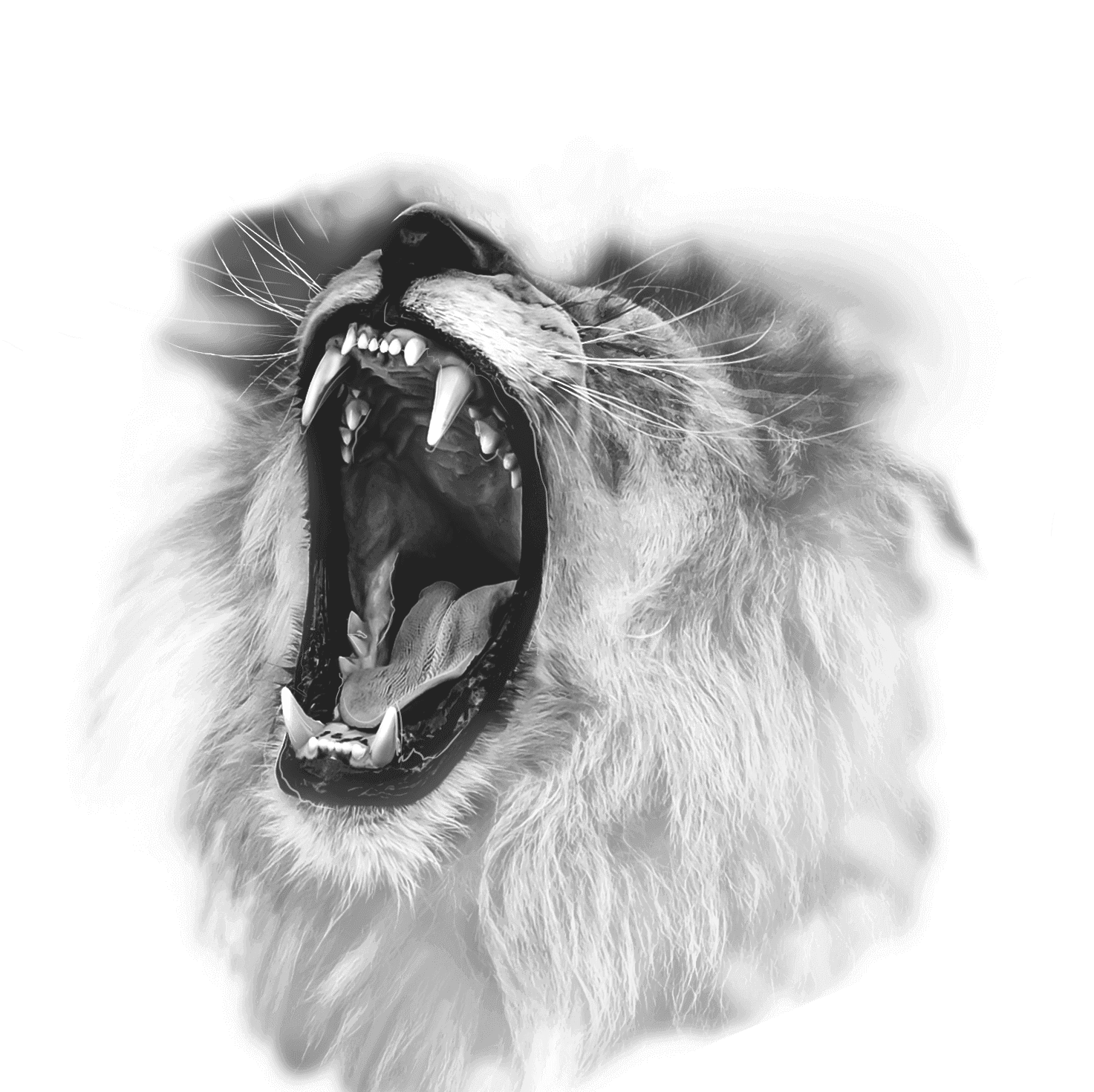 aachen-agenturen-digital